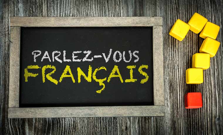 Learn French successfully. All French courses at a glance ...